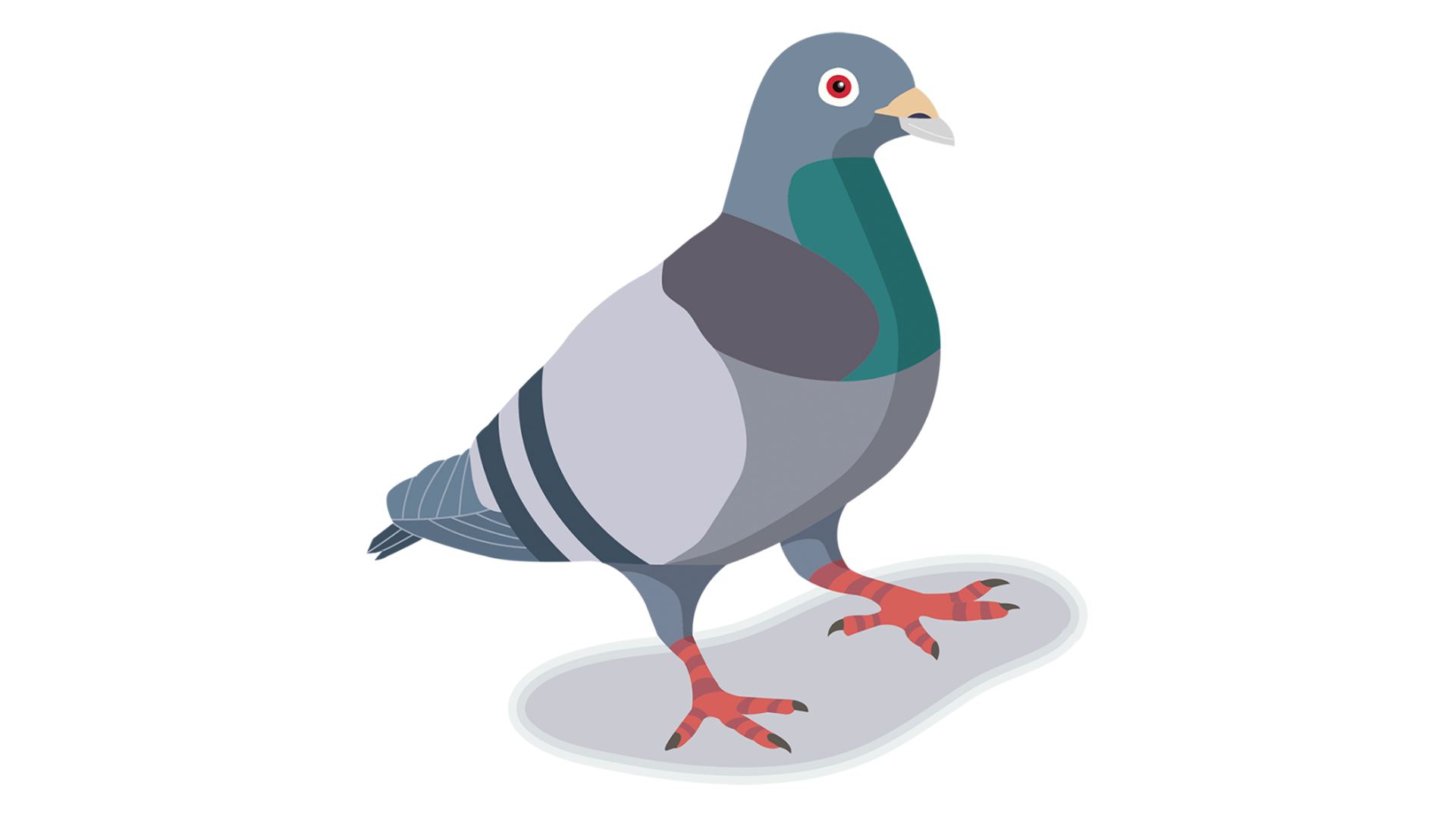 鳩 ハト ドバト 巣 対策 撃退